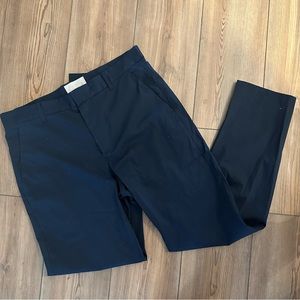 Everlane Blue Dress Pant